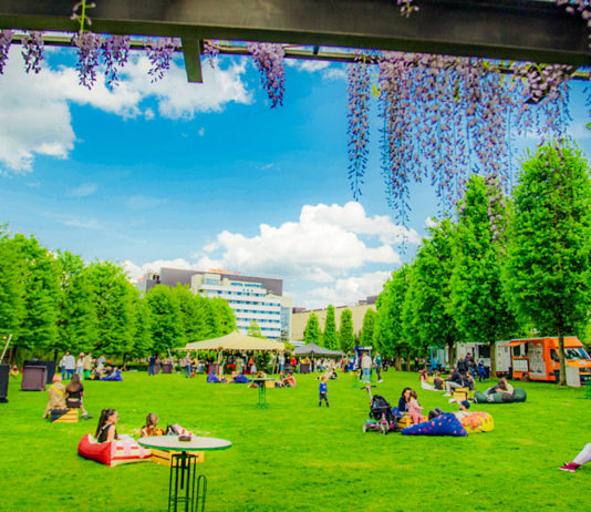 Sărbătorește Ziua Copilului cu activități inedite la Street Food Park și Kids Day, la Iulius Mall Cluj!