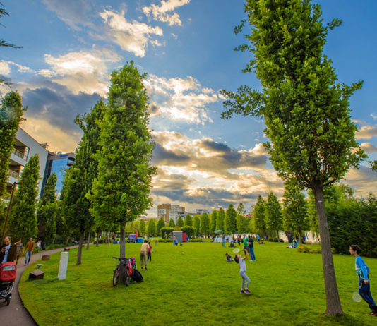 Poveștile #IuliusGardens în imagini: participă la un concurs de fotografie dedicat și câștigă un iPhone 12 Pro și un workshop cu Sorin Onișor