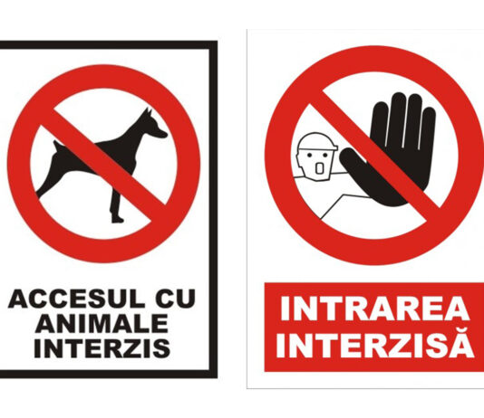 Senatorul Marcel Vela: „Un nou proiect prevede accesul cu animale de companie în instituții publice.”
