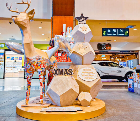 „‘Tis the season to be ECO”: Eco-friendly workshops din hârtie reciclată pentru copii, la Iulius Mall Cluj