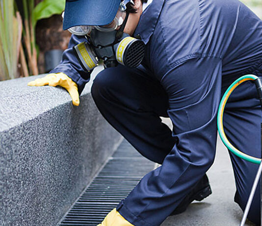 Acțiune de deratizare pe domeniul public desfășurată de Primăria Cluj în perioada următoare