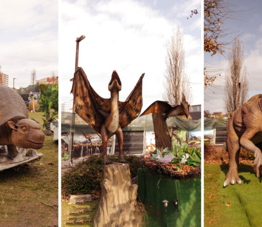 Galerie foto: Vino pe urmele giganților în Iulius Parc și bucură-te de o experiență inedită în lumea dinozaurilor!