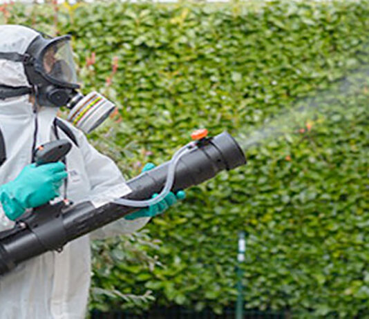 Acțiune de dezinsecție pe domeniul public și privat al municipiului Cluj-Napoca