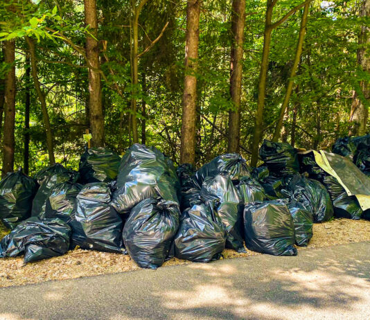 Peste 2.600 de saci de deșeuri colectați la acțiunea de igienizare a lacului Tarnița