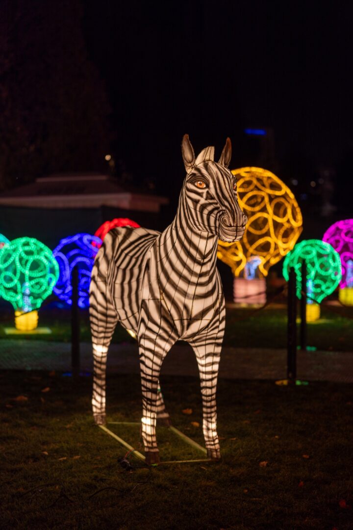 The Glowing Garden Iulius Parc 04