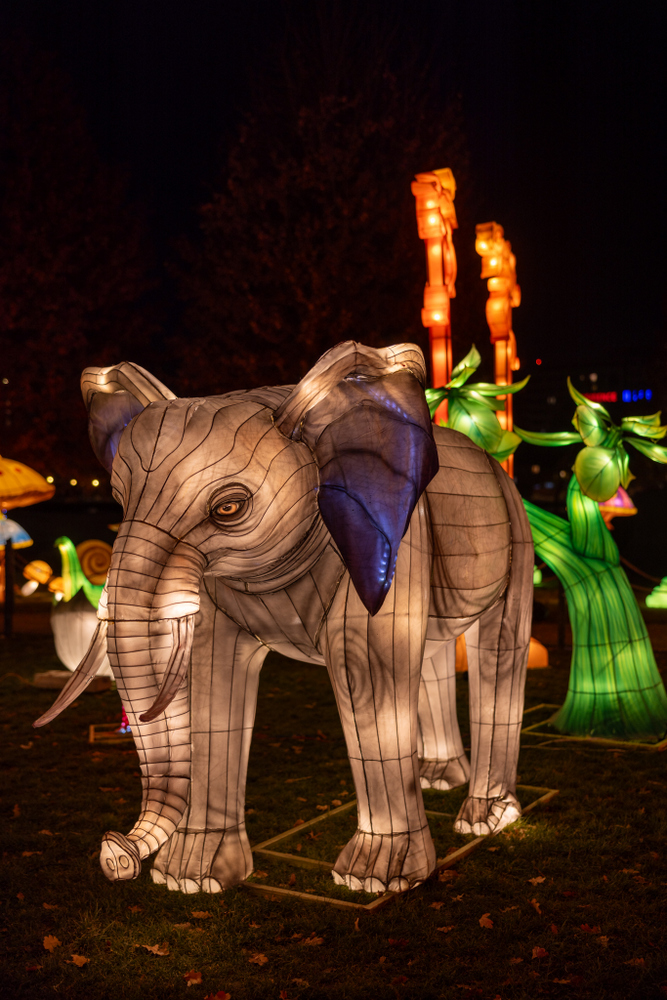 The Glowing Garden Iulius Parc 05