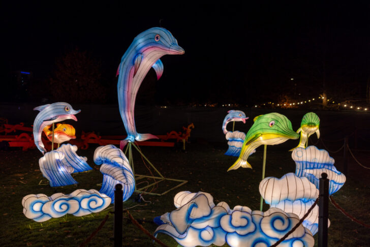 The Glowing Garden Iulius Parc 06