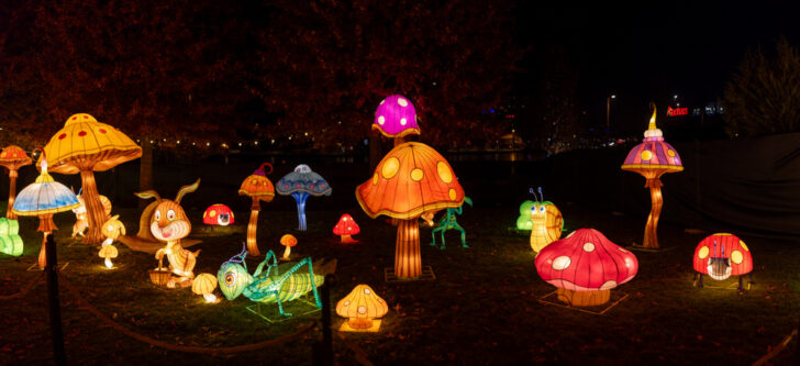 The Glowing Garden Iulius Parc 07