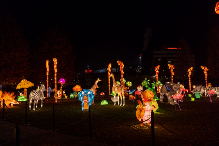 The Glowing Garden Iulius Parc 08