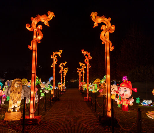 Iulius Parc s-a transformat în „The Glowing Garden”. Expoziția mai poate fi vizitată până pe 20 ianuarie (galerie foto)