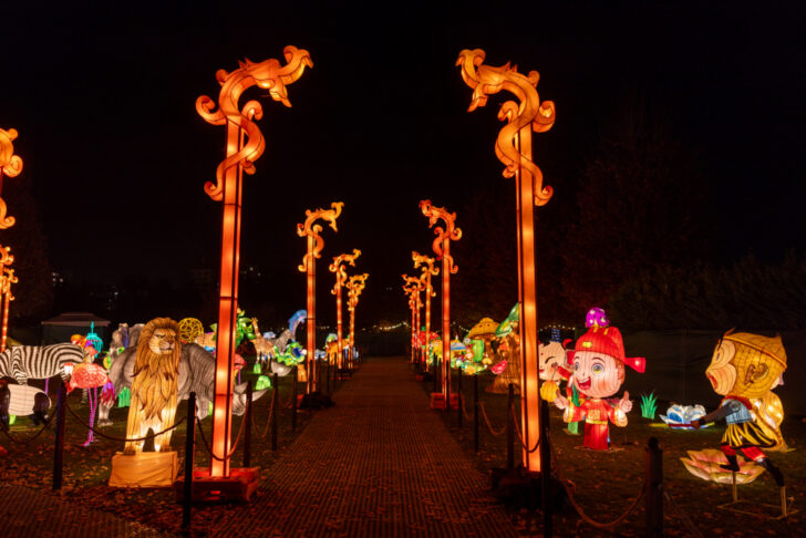 The Glowing Garden Iulius Parc 09