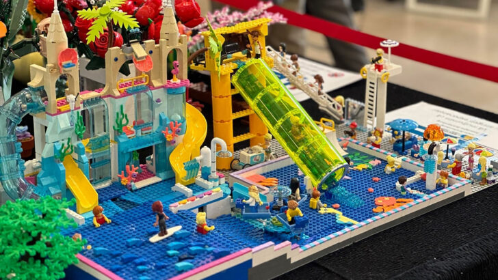 iulius mall cluj expo 2