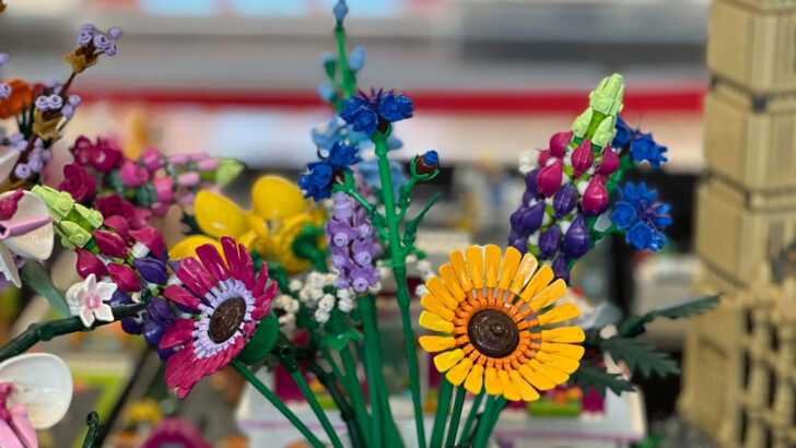 iulius mall cluj expo 3