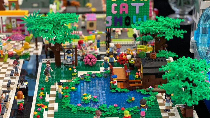 iulius mall cluj expo 4