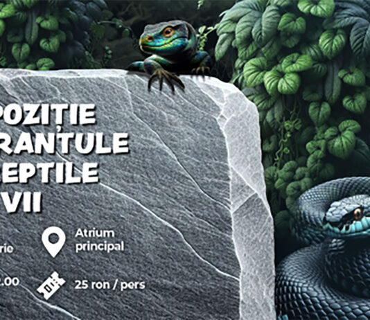 70 dintre cele mai cunoscute exemplare de tarantule, șerpi și alte specii de reptile pot fi admirate în Iulius Mall Cluj!