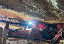 Peste 50 de speologi au participat la un exercițiu spectaculos de salvare în Peștera Humpleu (foto)